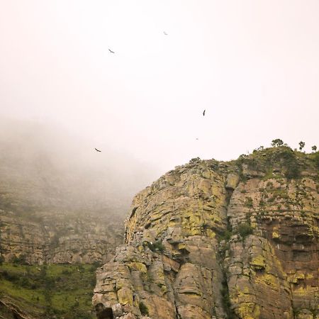 Cape Vulture Conservancy Hoedspruit Luaran gambar