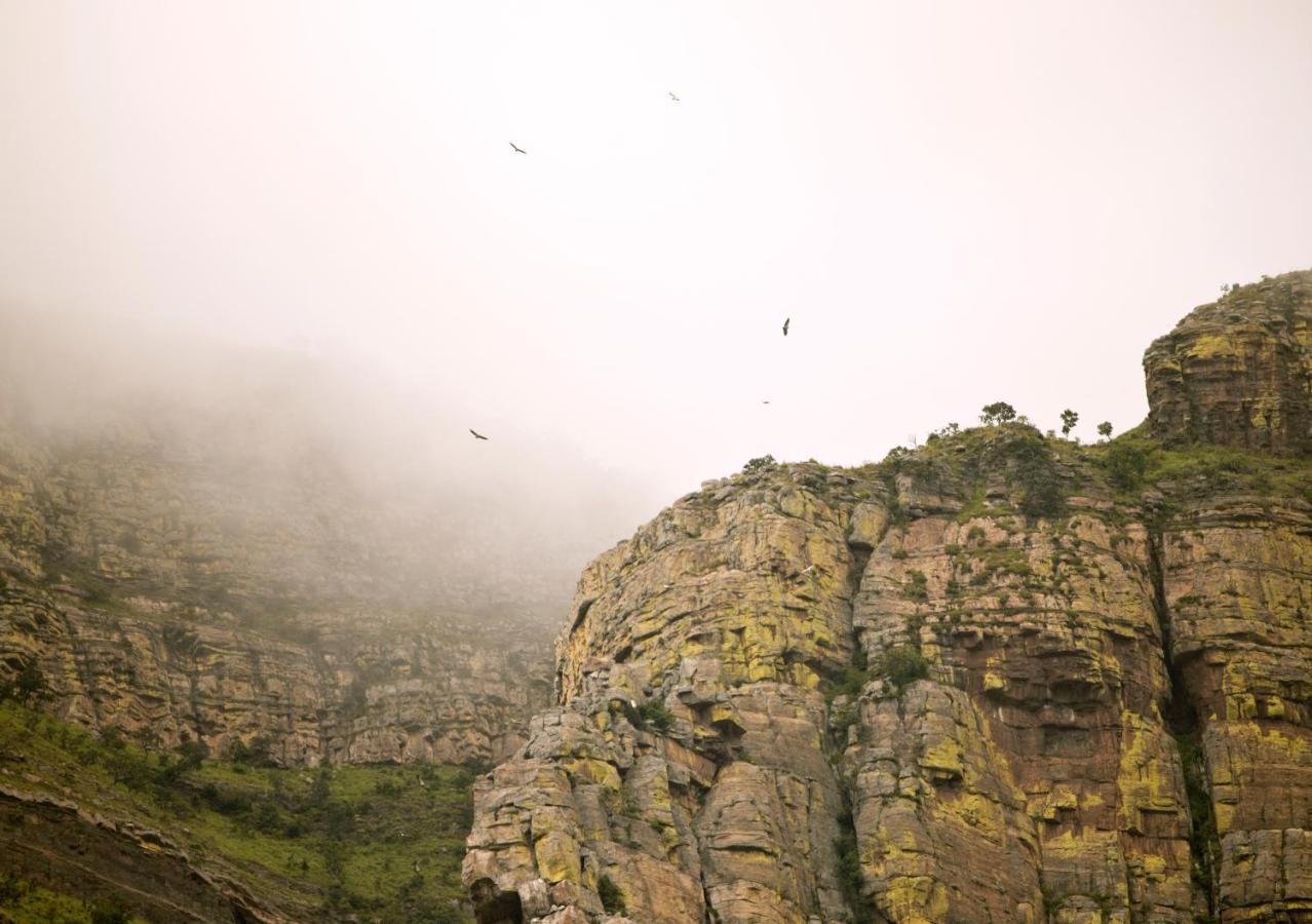Cape Vulture Conservancy Hoedspruit Luaran gambar