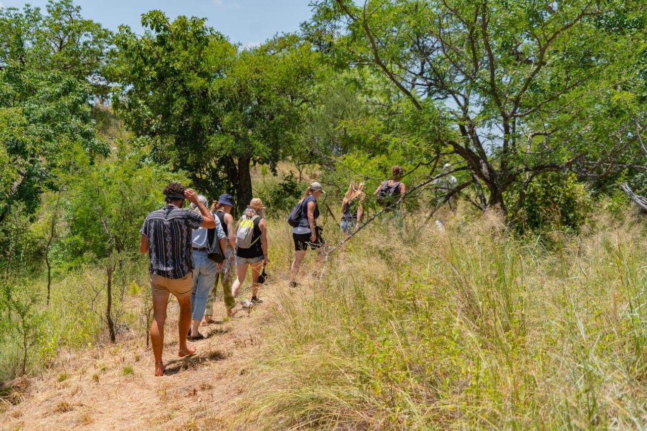 Cape Vulture Conservancy Hoedspruit Luaran gambar