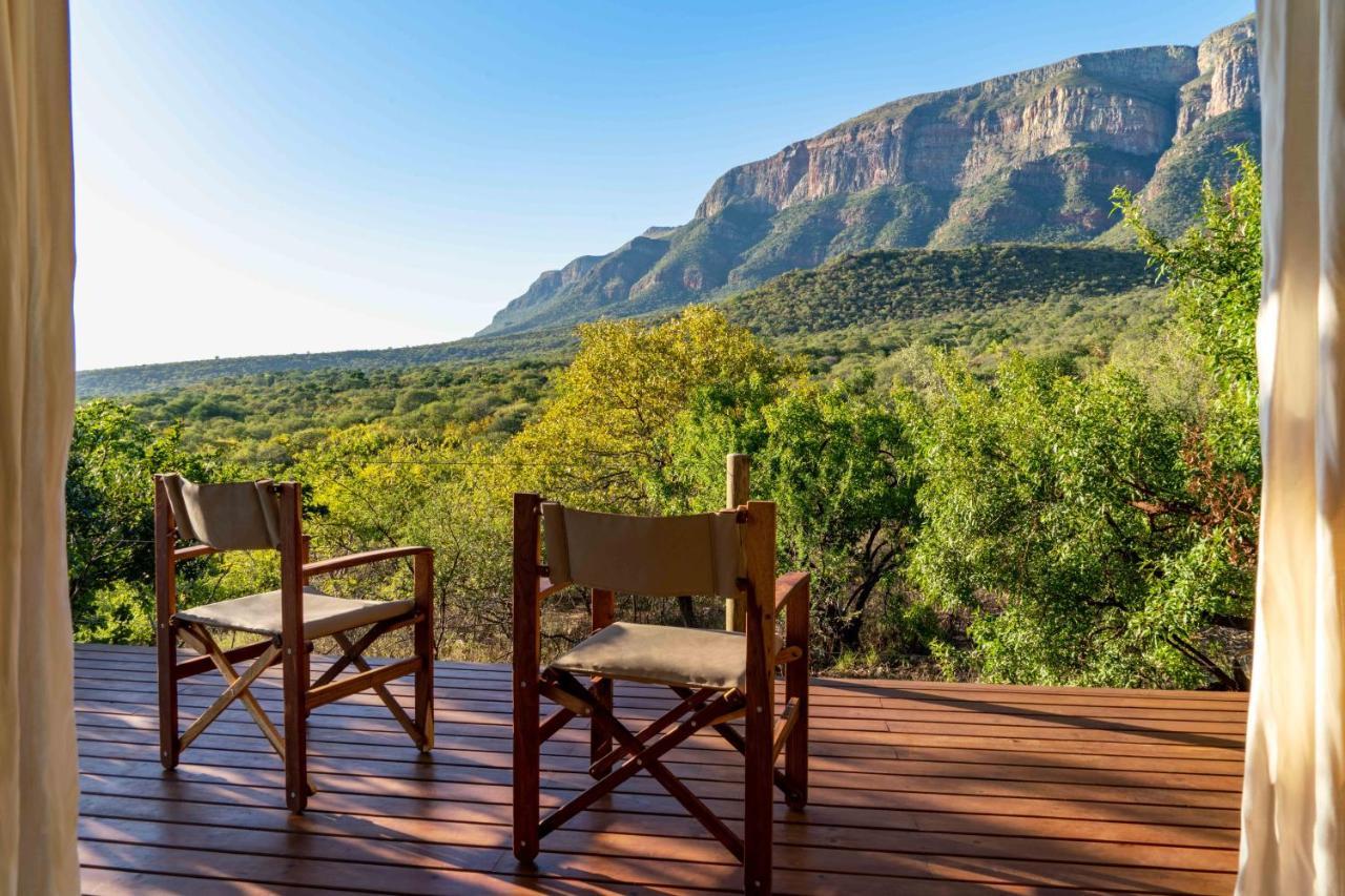 Cape Vulture Conservancy Hoedspruit Luaran gambar