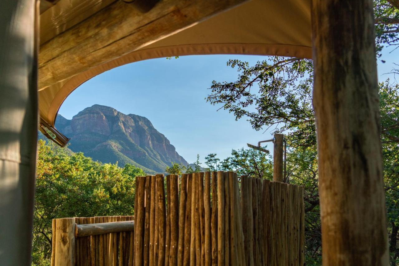 Cape Vulture Conservancy Hoedspruit Luaran gambar